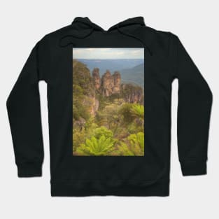 Three Sisters & Ferns ... Portrait View Hoodie